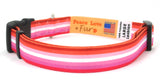 Lesbian Pride Dog Collar and Leash Set