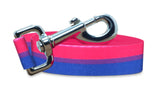 Bisexual Pride Dog Leash