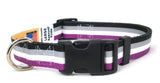 Asexual Pride Dog Collar