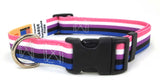 Gender fluid Pride Dog Collar