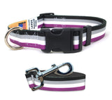 Asexual Pride Dog Collar and Leash Set