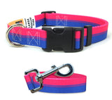 Bisexual Pride Dog Collar and Leash Set