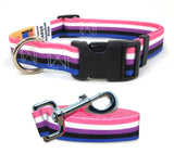 Gender Fluid Pride Dog Collar and Leash Set