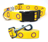 Intersexual Pride Dog Collar and Leash Set