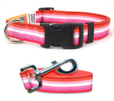 Lesbian Pride Dog Collar and Leash Set