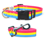 Pansexual Pride Dog Collar and Leash Set