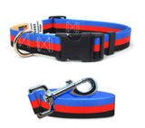 Polyamorous Pride Dog Collar and Leash Set