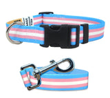 Transsexual Pride Dog Collar and Leash Set