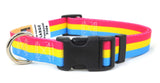 Pansexual Pride Dog Collar