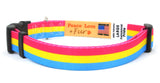 Pansexual Pride Dog Collar and Leash Set