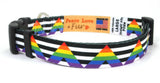 Straight Ally Pride Dog Collar and Leash Set