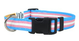 Transexual Pride Dog Collar