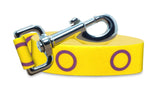 Intersexual Pride Dog Leash
